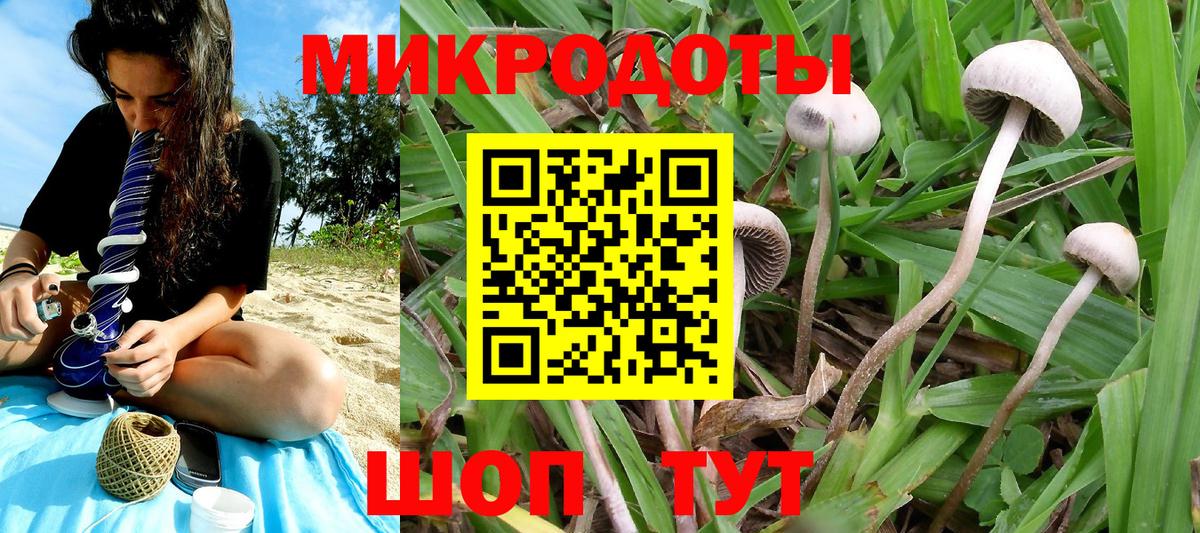 Санкт-Петербург  Галлюциногенные грибы MAGIC MUSHROOMS  Вход с VPN 